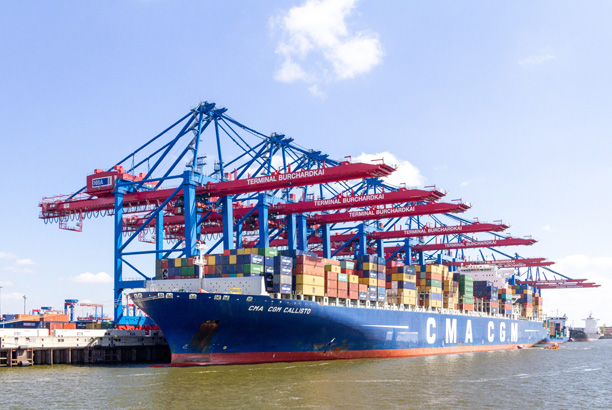 What is Tramp and Liner Transportation?